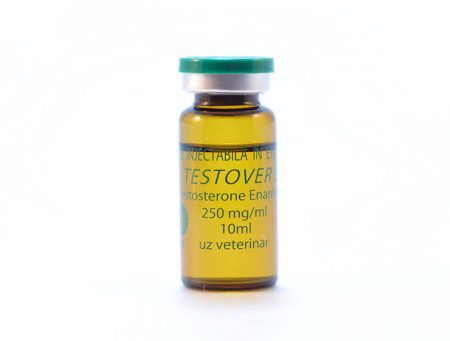 Testover_3