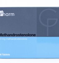 Methandrostenolone - Generics Pharm (Метан 96x10mg)